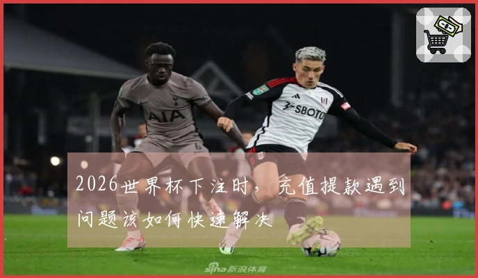 2026世界杯下注时，充值提款遇到问题该如何快速解决