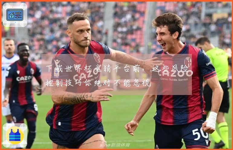 下载世界杯竞猜平台前，这些风险控制技巧你绝对不能忽视