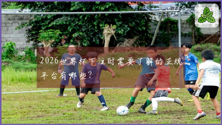 2026世界杯下注时需要了解的正规平台有哪些？