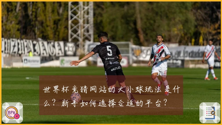 世界杯竞猜网站的大小球玩法是什么？新手如何选择合适的平台？