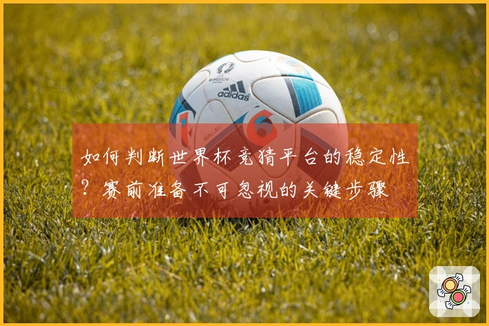 如何判断世界杯竞猜平台的稳定性？赛前准备不可忽视的关键步骤