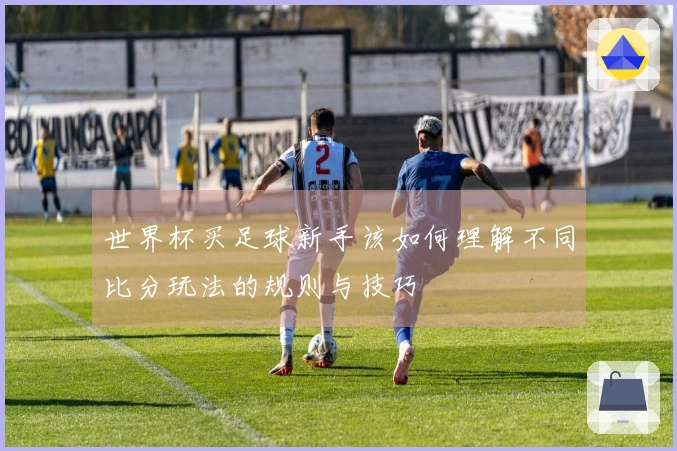 世界杯买足球新手该如何理解不同比分玩法的规则与技巧