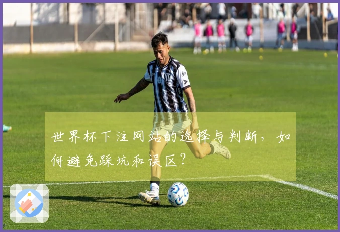 世界杯下注网站的选择与判断，如何避免踩坑和误区？
