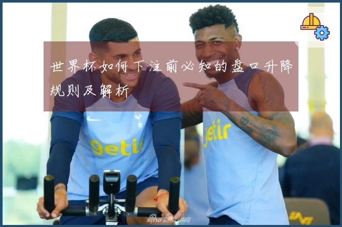 世界杯如何下注前必知的盘口升降规则及解析