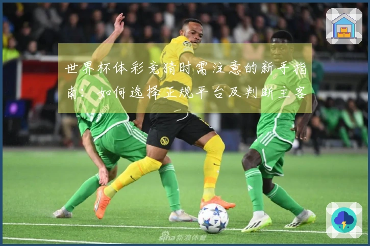 世界杯体彩竞猜时需注意的新手指南：如何选择正规平台及判断主客场信息？