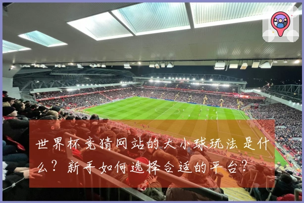 世界杯竞猜网站的大小球玩法是什么？新手如何选择合适的平台？