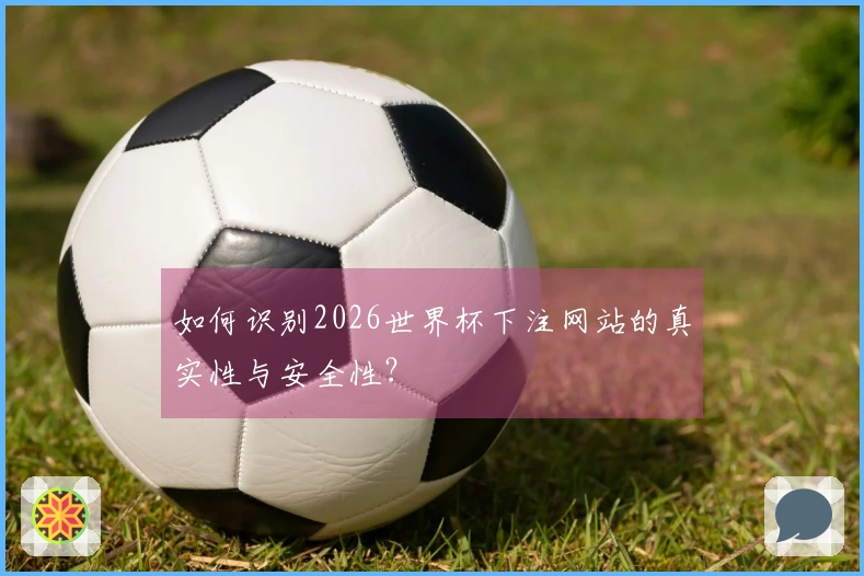 如何识别2026世界杯下注网站的真实性与安全性？