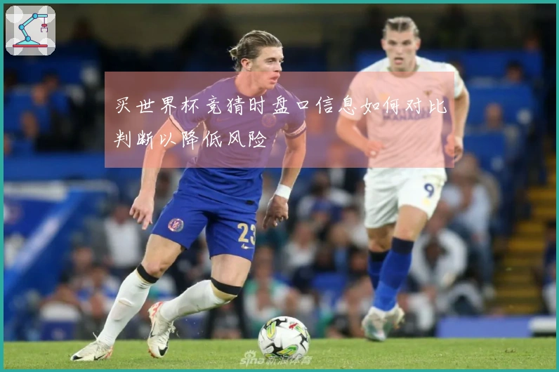 买世界杯竞猜时盘口信息如何对比判断以降低风险