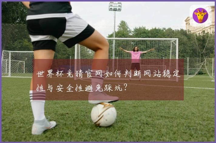 世界杯竞猜官网如何判断网站稳定性与安全性避免踩坑？