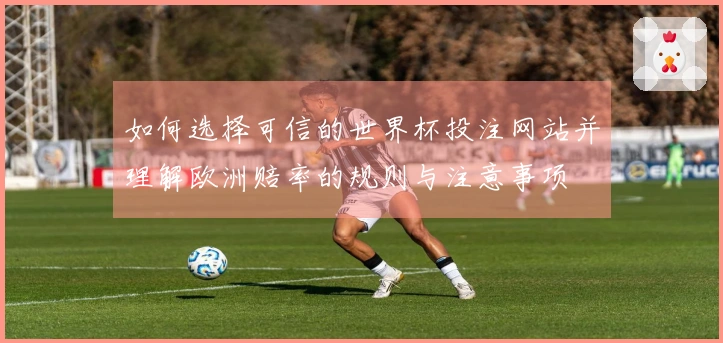 如何选择可信的世界杯投注网站并理解欧洲赔率的规则与注意事项