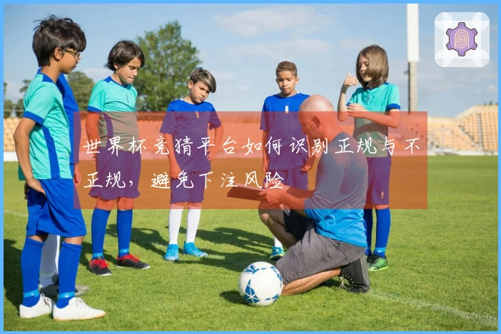 世界杯竞猜平台如何识别正规与不正规，避免下注风险