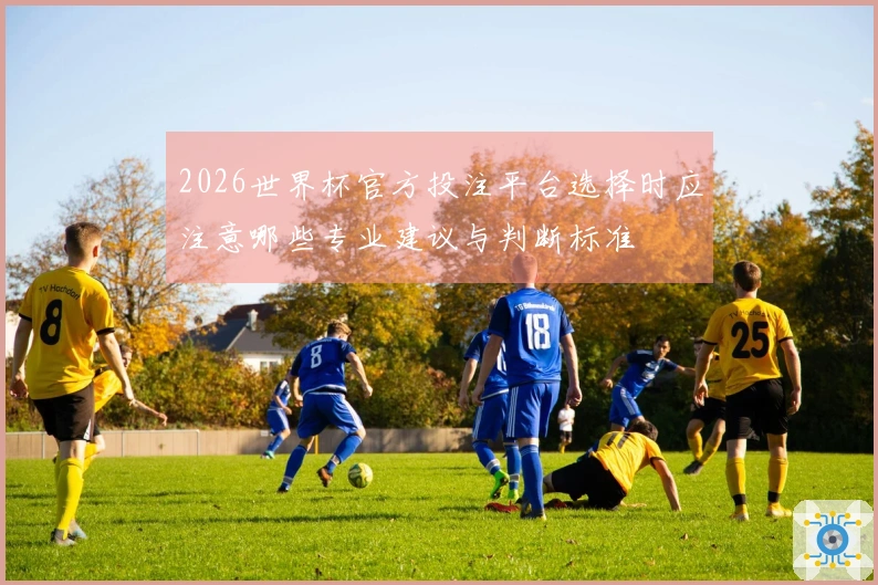 2026世界杯官方投注平台选择时应注意哪些专业建议与判断标准