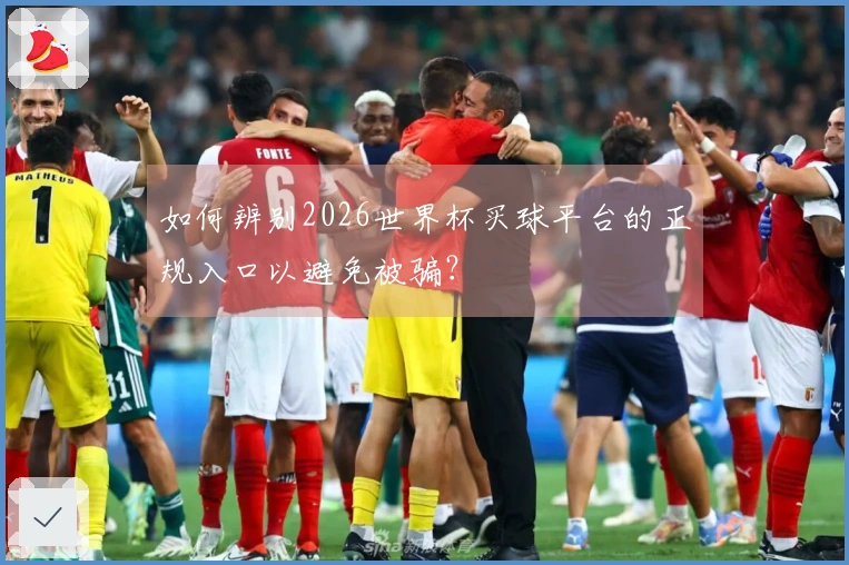 如何辨别2026世界杯买球平台的正规入口以避免被骗？