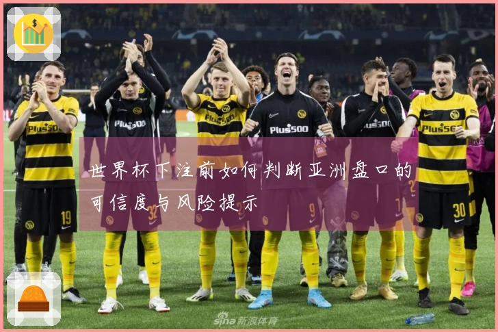 世界杯下注前如何判断亚洲盘口的可信度与风险提示