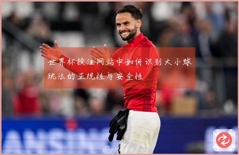世界杯投注网站中如何识别大小球玩法的正规性与安全性