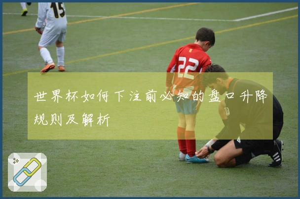 世界杯如何下注前必知的盘口升降规则及解析