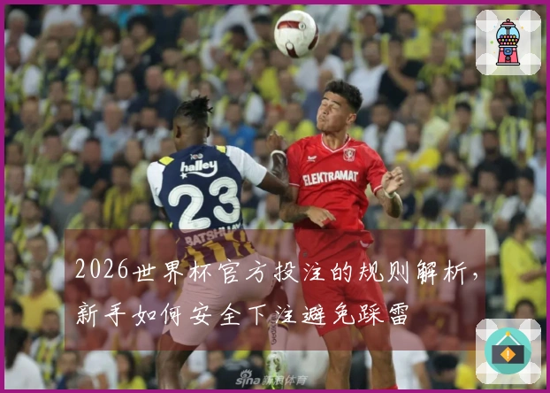 2026世界杯官方投注的规则解析，新手如何安全下注避免踩雷