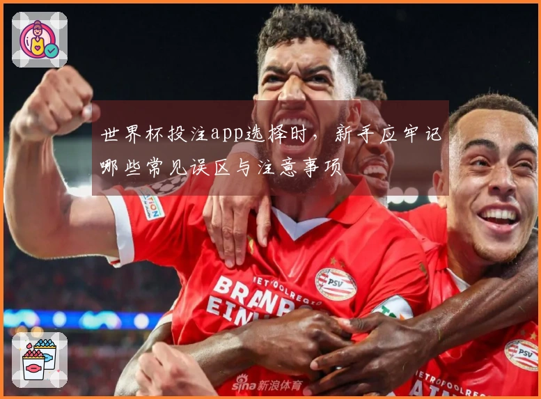 世界杯投注app选择时，新手应牢记哪些常见误区与注意事项