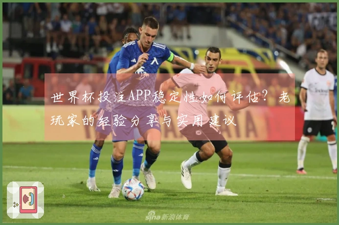 世界杯投注APP稳定性如何评估？老玩家的经验分享与实用建议